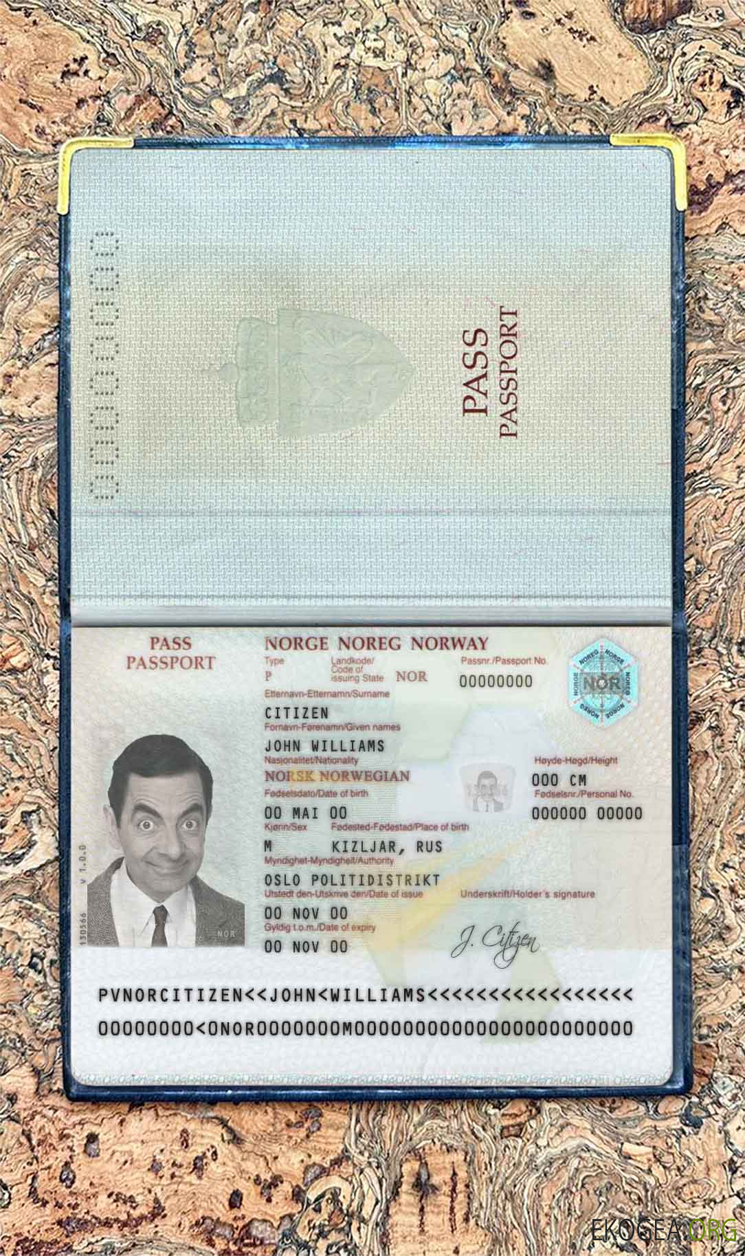 Look photo du passeport norvégien